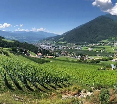 Vila Buehlerhof Agriturismo, Obst-&Weingut, Urlaub Mit Hund, Pferde, Bauernhof, Brixen Rasa Exteriér fotografie