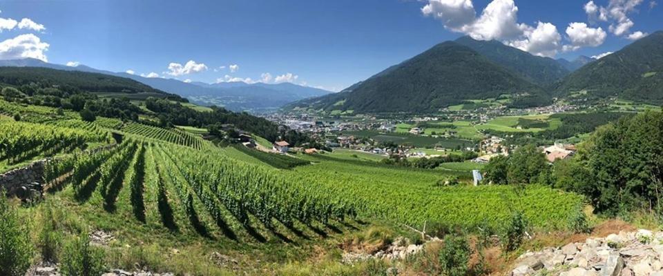 Vila Buehlerhof Agriturismo, Obst-&Weingut, Urlaub Mit Hund, Pferde, Bauernhof, Brixen Rasa Exteriér fotografie