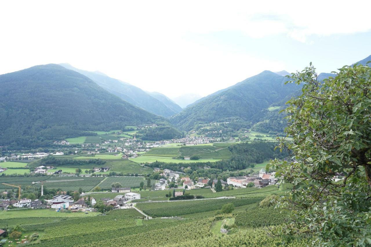 Vila Buehlerhof Agriturismo, Obst-&Weingut, Urlaub Mit Hund, Pferde, Bauernhof, Brixen Rasa Exteriér fotografie