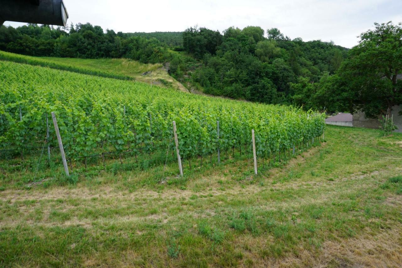 Vila Buehlerhof Agriturismo, Obst-&Weingut, Urlaub Mit Hund, Pferde, Bauernhof, Brixen Rasa Exteriér fotografie